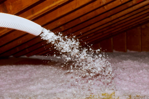 Best Insulation Materials and Products in Dakota Ridge, CO